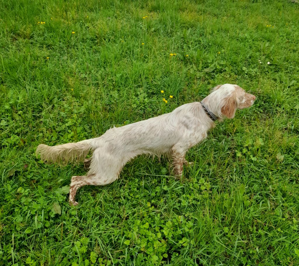 Vahina Du Touchaud